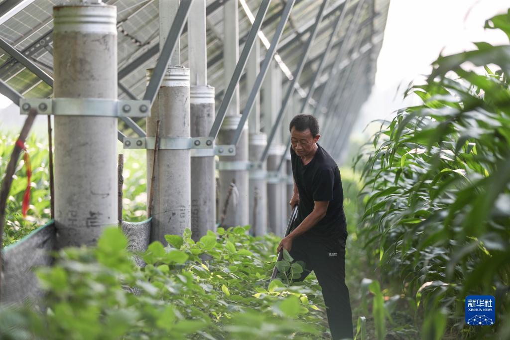 澳博网址