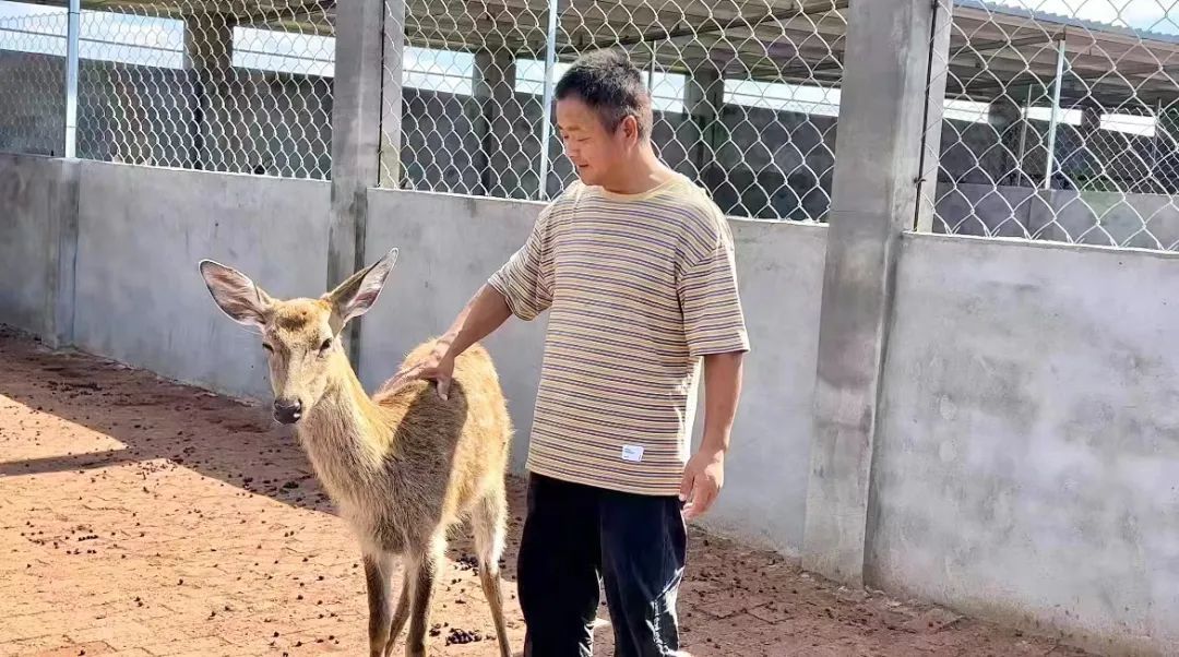白菜优惠论坛官方网站